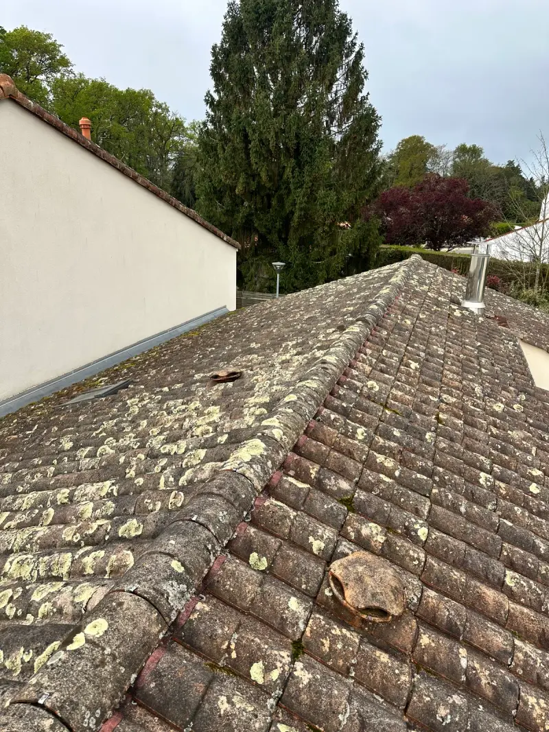 Toiture en tuiles couverte de mousse, avant nettoyage