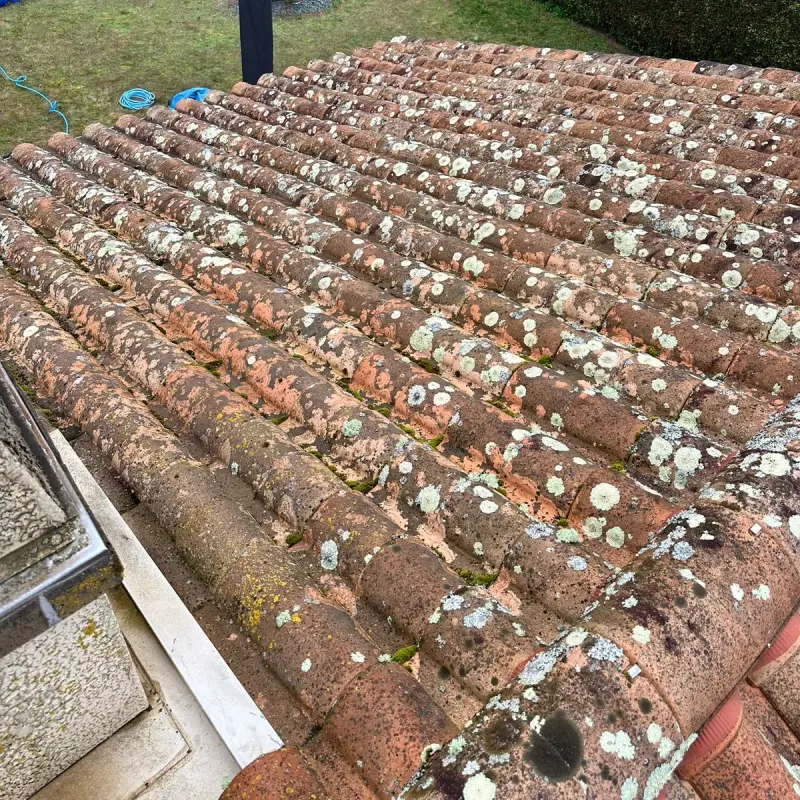 Toiture en tuiles couverte de mousse et de lichen, avant démoussage
